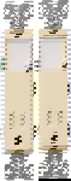 2 Pole, 125 VAC, 15 Amp, 1 Outlet, Flush Mounted, Self Grounding, Tamper Resistant Combination Outlet with Night Light